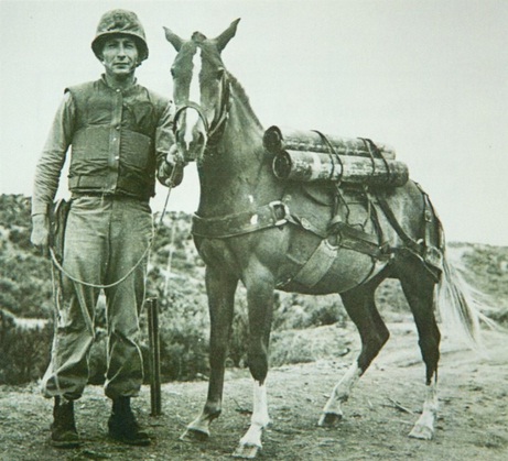 cerita kisah perang korea